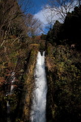 滝