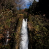 滝