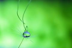 心海ＤＲＯＰＳ　112－2