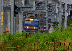ブルーサンダー君～♪