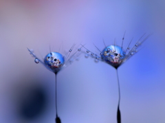 サンタが街にやってくる♪