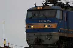 ブルーサンダー？　粋な顔