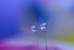 夢見るなら・・・・ひとりよりふたり