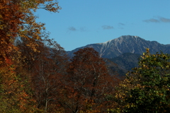 山の紅葉