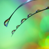 心海ＤＲＯＰＳ　36