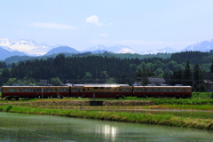 ダブルデッカー君が輝いているよ～♪