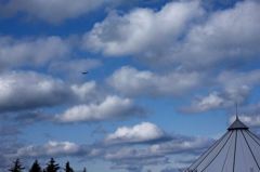 アラビアンナイト