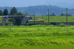 かぼちゃ君～♪