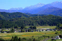 電車君を探そう~♪