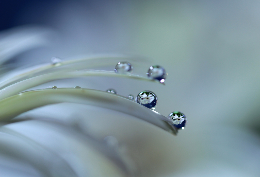心海ＤＲＯＰＳ　92