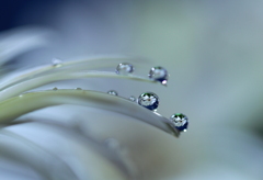 心海ＤＲＯＰＳ　92