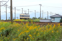 カーブが好きな鉄子