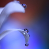心海ＤＲＯＰＳ