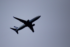 何気に見上げたら飛行機が飛んでいました～♪