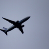 何気に見上げたら飛行機が飛んでいました～♪