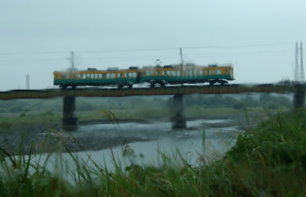 雨の日のかぼちゃ君～♪
