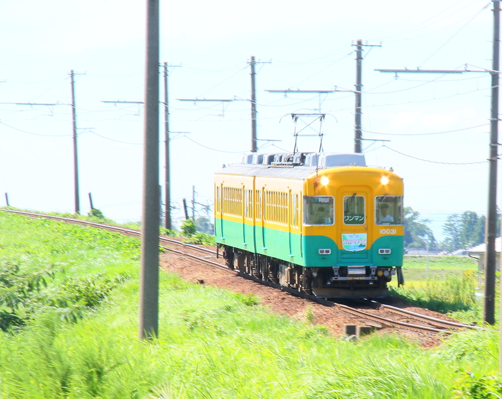 ドリームパンプキン