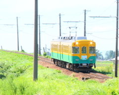 ドリームパンプキン