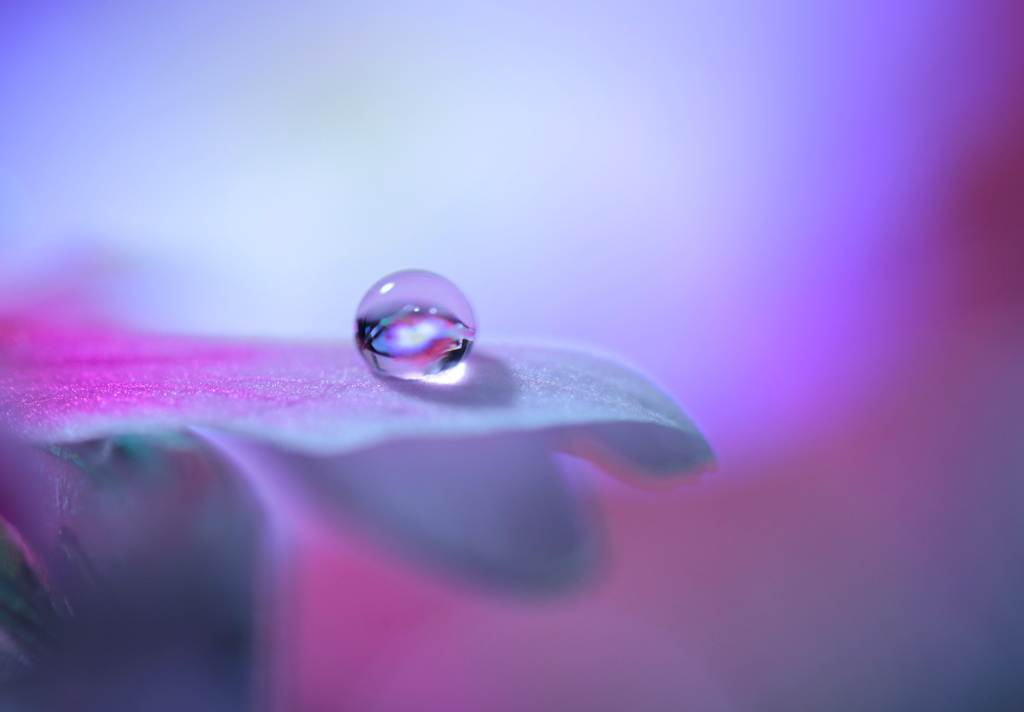 心海ＤＲＯＰＳ　45