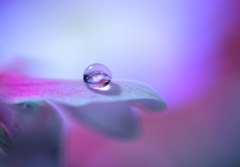 心海ＤＲＯＰＳ　45
