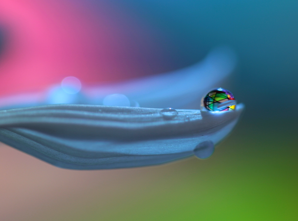 あの青ざめた海の彼方で