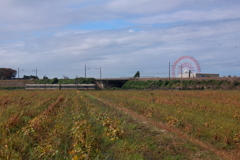 大豆畑を走る～