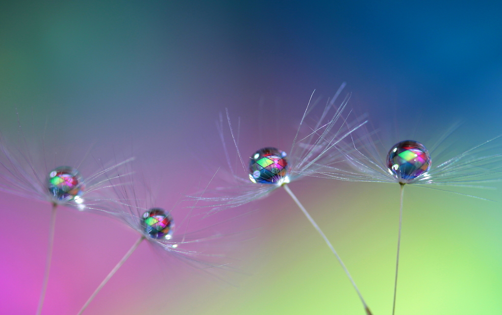 心海ｄｒｏｐｓ