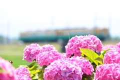 雨がほしい（だれかくものすとって）
