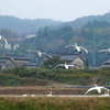 今年初めて白鳥を見た日^^♪