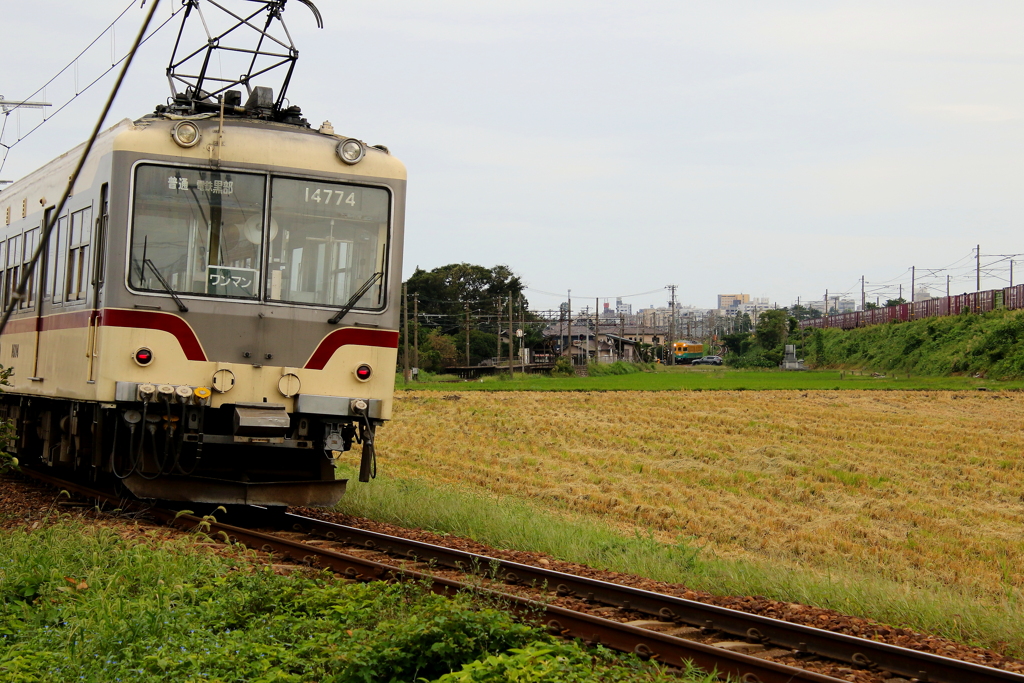 かぼちゃ君が・・・待つ場所へ～♪　貨物列車も・・・