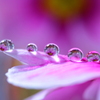 心海ＤＲＯＰＳ 4