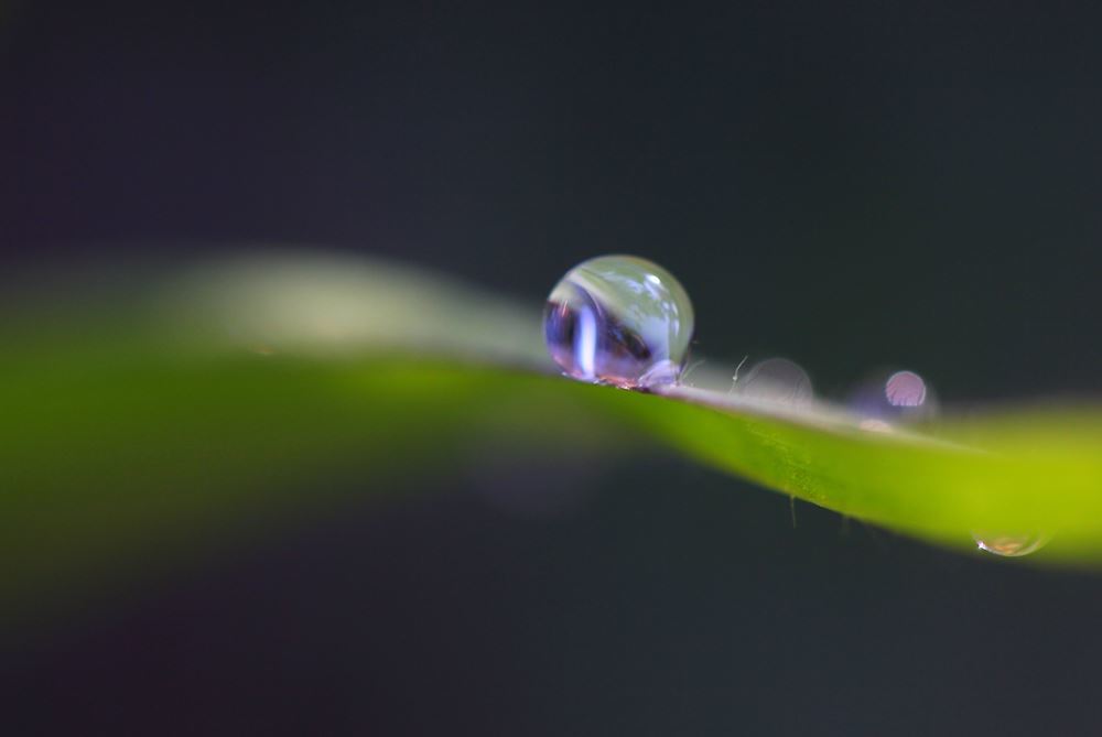 一瞬のきらめき