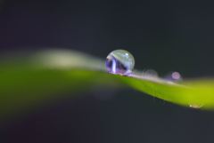 一瞬のきらめき