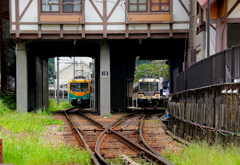 かぼちゃ君とダイコン君~♪