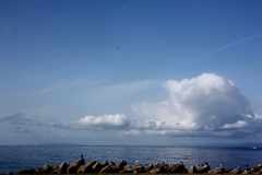 海よ、雲よ、鳥よ