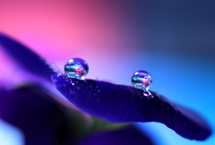 心海ＤＲＯＰＳ　82
