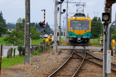 かぼちゃ君～♪