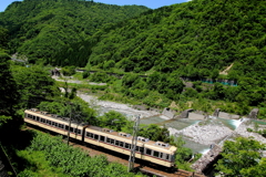 ダイコン電車が走ります～♪2