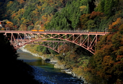 続・・・トロッコ列車が行く~♪