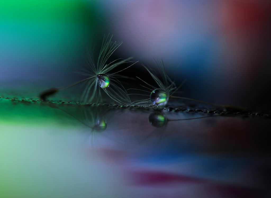 縁　（語らい）