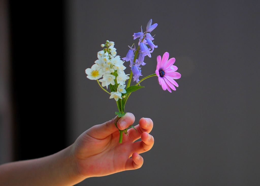 このゆびとまれ～