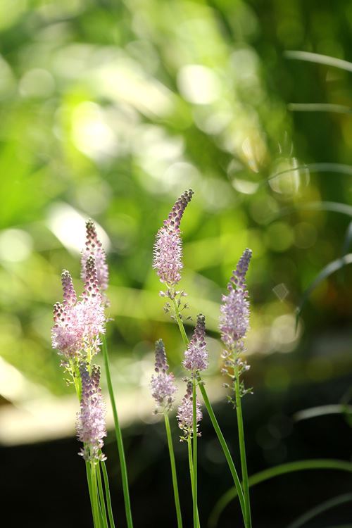 風と光を感じて歌い出す