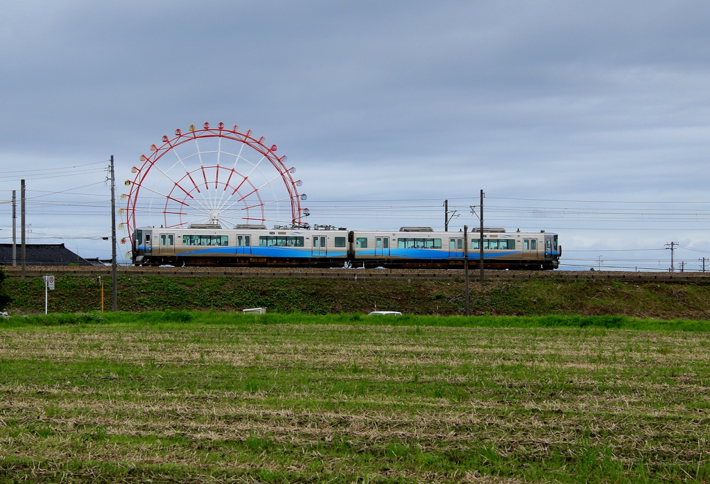 カタツムリ君のように・・・