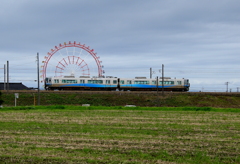カタツムリ君のように・・・