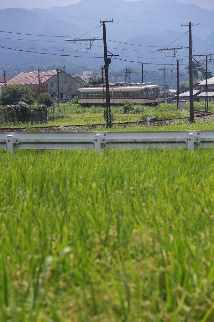 来ると思うと嬉しい！
