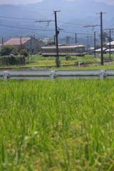 来ると思うと嬉しい！