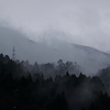 煙る山
