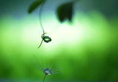 心海ＤＲＯＰＳ　112