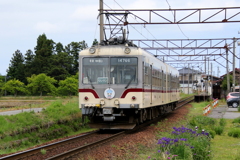 ダイコン君～♪　後ろ姿