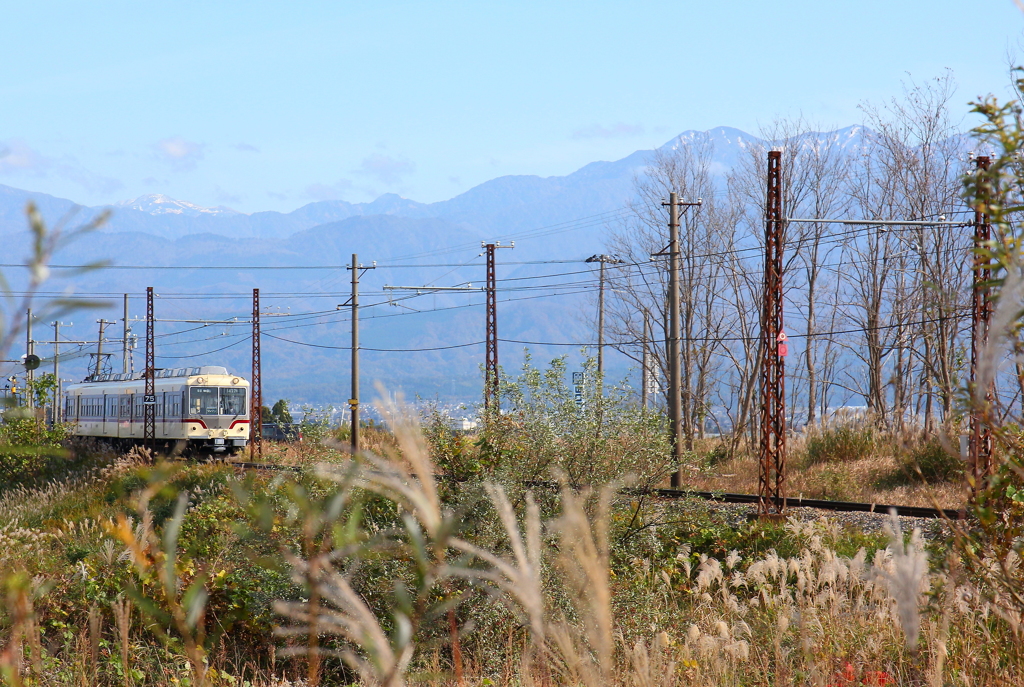 ダイコン電車君